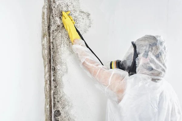 Mold Inspection