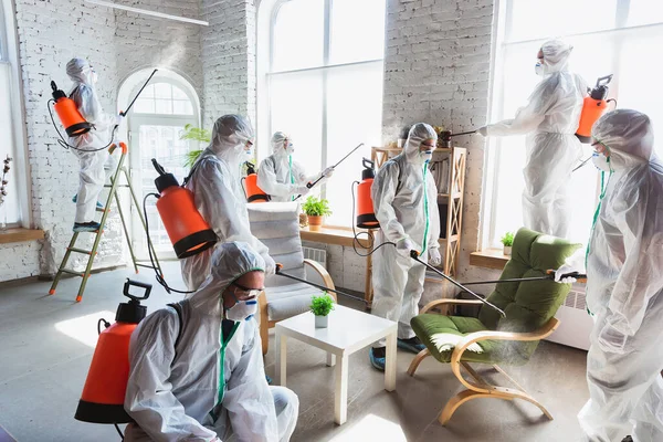 Mold Remediation: